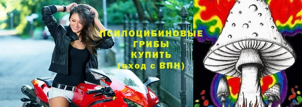 скорость Богородск