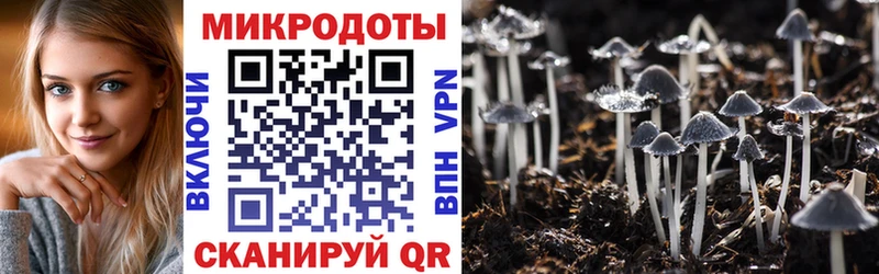 Псилоцибиновые грибы ЛСД  KRAKEN   Бикин 